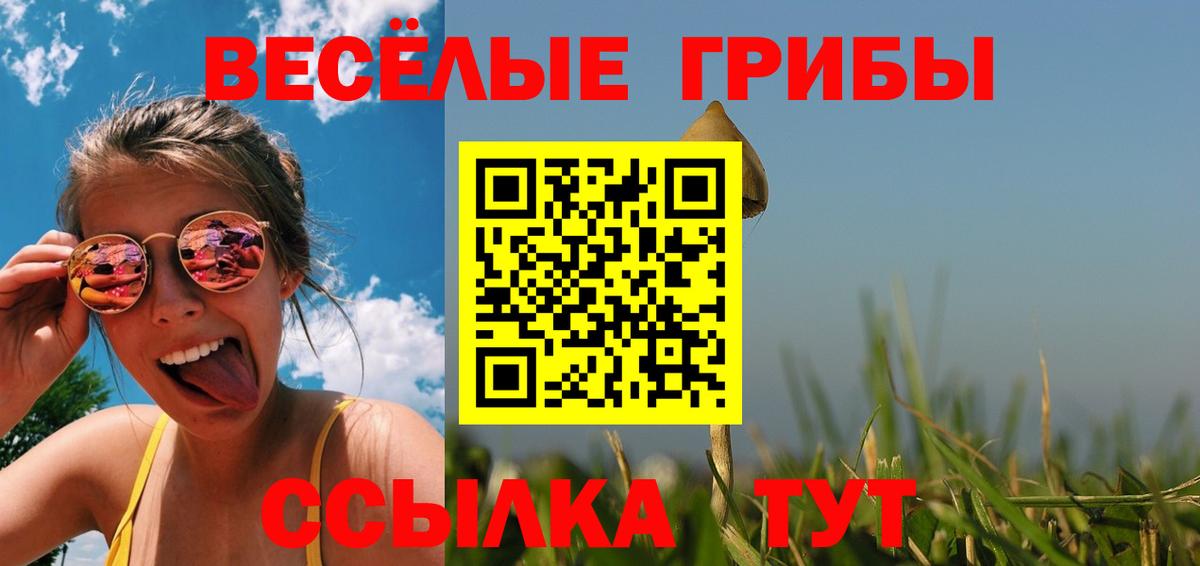 Амурск  Галлюциногенные грибы Cubensis  Вход с VPN  Псилоцибиновые грибы Magic Shrooms 